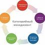 Використання експертних систем для розробки категорійних стратегій